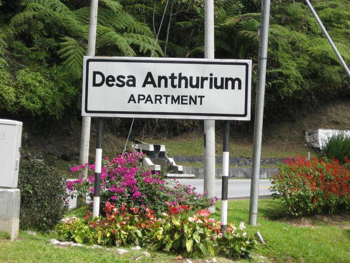 Sa Apartments @ Desa Anthurium คาเมรอนไฮแลนด์ ภายนอก รูปภาพ
